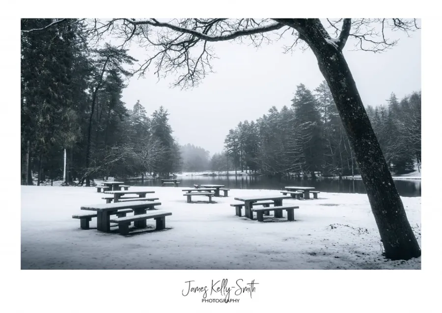 Vast mountain forest stretching to distant peaks