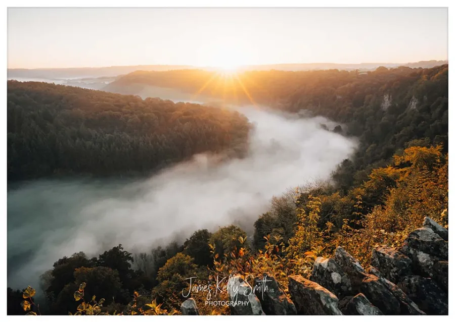 Vast mountain forest stretching to distant peaks
