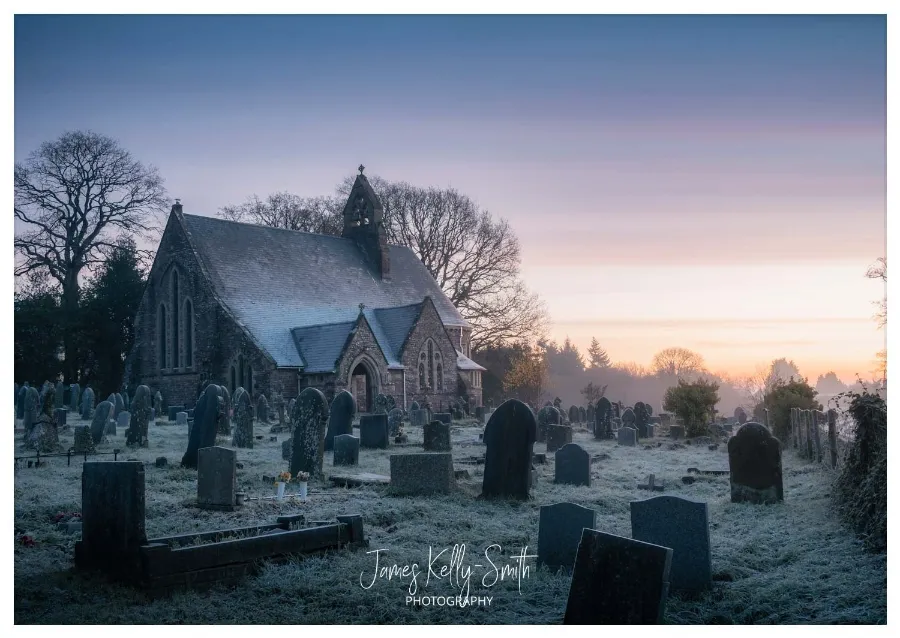 Cascading waterfall flowing through lush green forest
